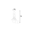 disegno tecnico lampada xenon look