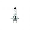 LAMPADA ALOGENA 12V PER AUTO