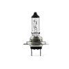 LAMPADE ALOGENE PER AUTO 12V
